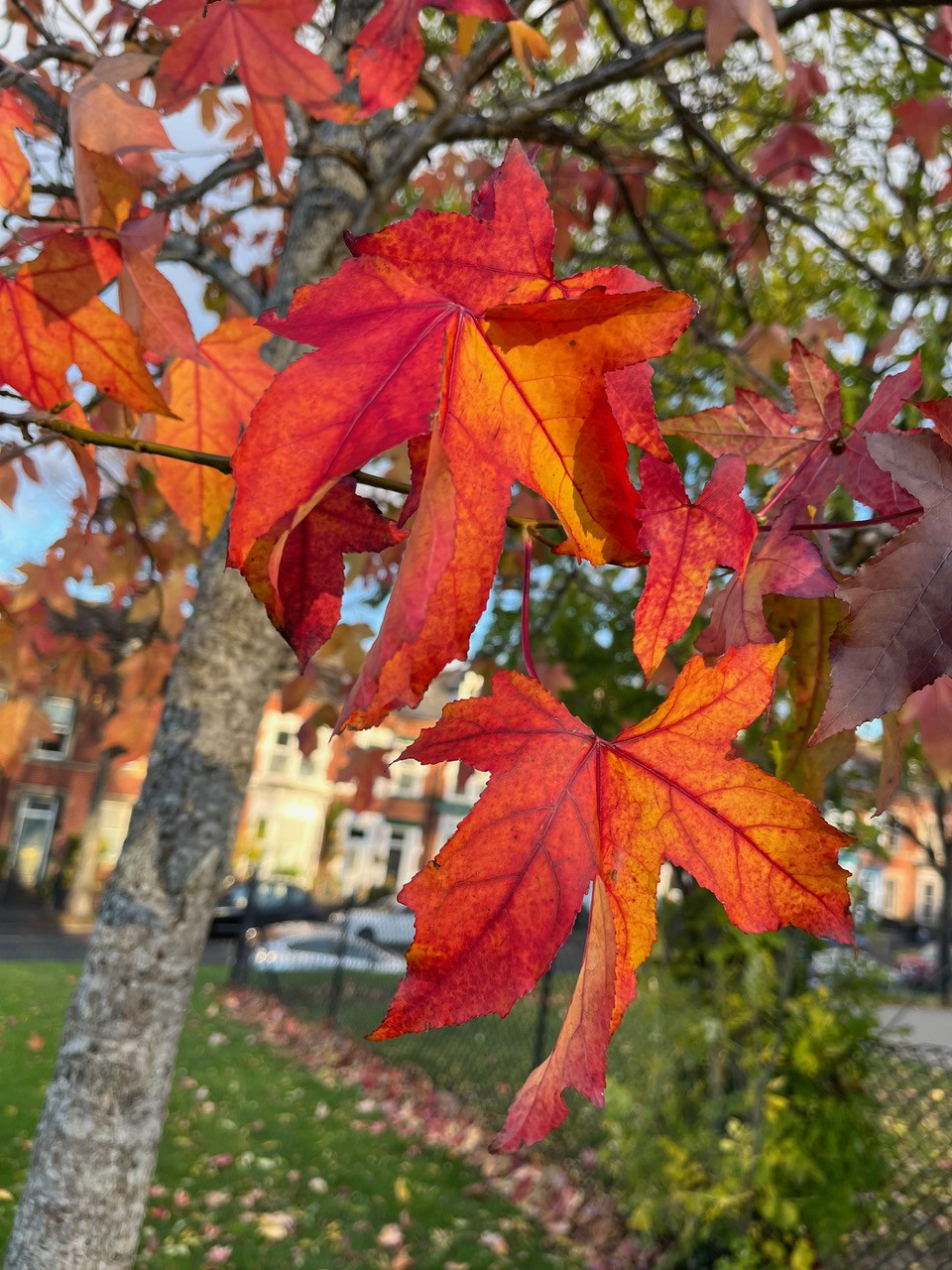 Fwd: Candy Lin /meersbrook park			
					</div><!-- .entry-content -->
		
		<footer>
		
		
		
					
					</footer><!-- .entry-meta -->
	</article><!-- #post -->
				
											
				
		
<hr class=