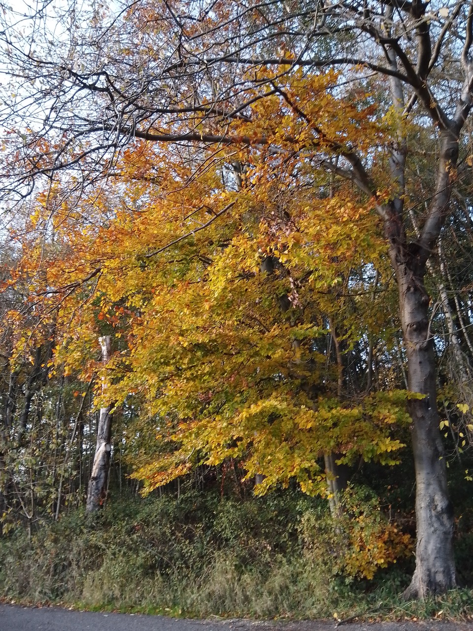 Fwd: Morehall			
					</div><!-- .entry-content -->
		
		<footer>
		
		
		
					
					</footer><!-- .entry-meta -->
	</article><!-- #post -->
				
											
				
		
<hr class=