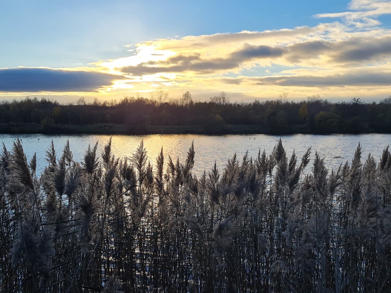 Fwd: Photo – Treeton Dyke			
					</div><!-- .entry-content -->
		
		<footer>
		
		
		
					
					</footer><!-- .entry-meta -->
	</article><!-- #post -->
				
											
				
		
<hr class=