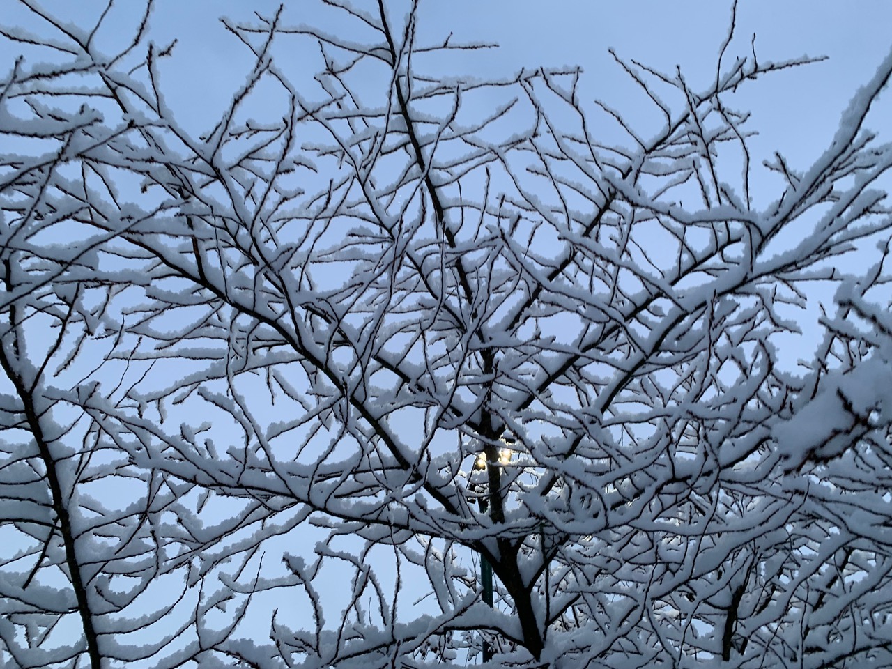 Fwd: Tonight&rsquo;s Snow.			
					</div><!-- .entry-content -->
		
		<footer>
		
		
		
					
					</footer><!-- .entry-meta -->
	</article><!-- #post -->
				
											
				
		
<hr class=