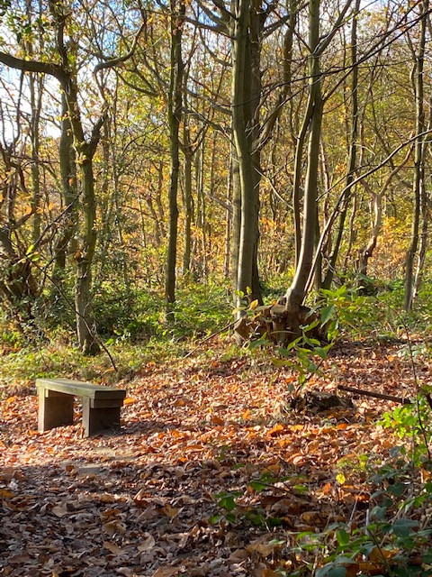 Fwd: Treeton Woods by Val Unwin			
					</div><!-- .entry-content -->
		
		<footer>
		
		
		
					
					</footer><!-- .entry-meta -->
	</article><!-- #post -->
				
											
				
		
<hr class=