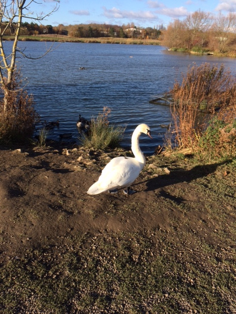 Fwd: Poolsbrook			
					</div><!-- .entry-content -->
		
		<footer>
		
		
		
					
					</footer><!-- .entry-meta -->
	</article><!-- #post -->
				
											
				
		
<hr class=