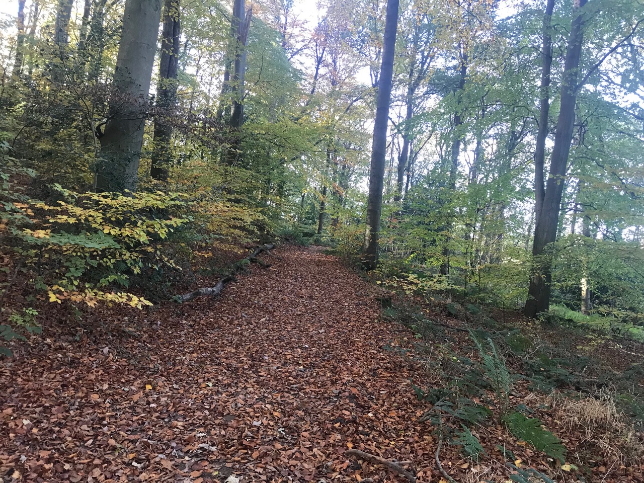 Fwd: Moss Valley			
					</div><!-- .entry-content -->
		
		<footer>
		
		
		
					
					</footer><!-- .entry-meta -->
	</article><!-- #post -->
				
											
				
		
<hr class=