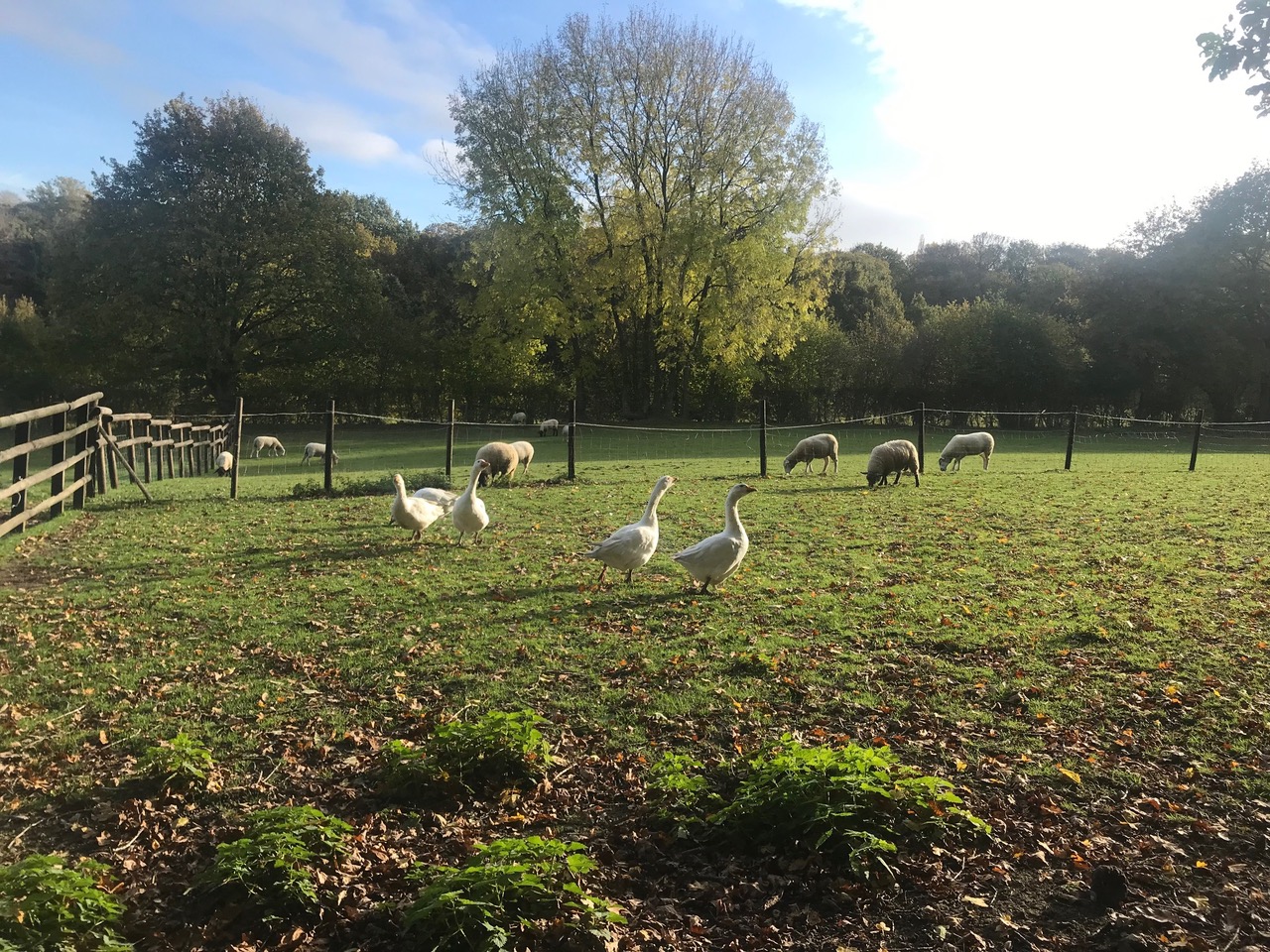 Fwd: Troway			
					</div><!-- .entry-content -->
		
		<footer>
		
		
		
					
					</footer><!-- .entry-meta -->
	</article><!-- #post -->
				
											
				
		
<hr class=