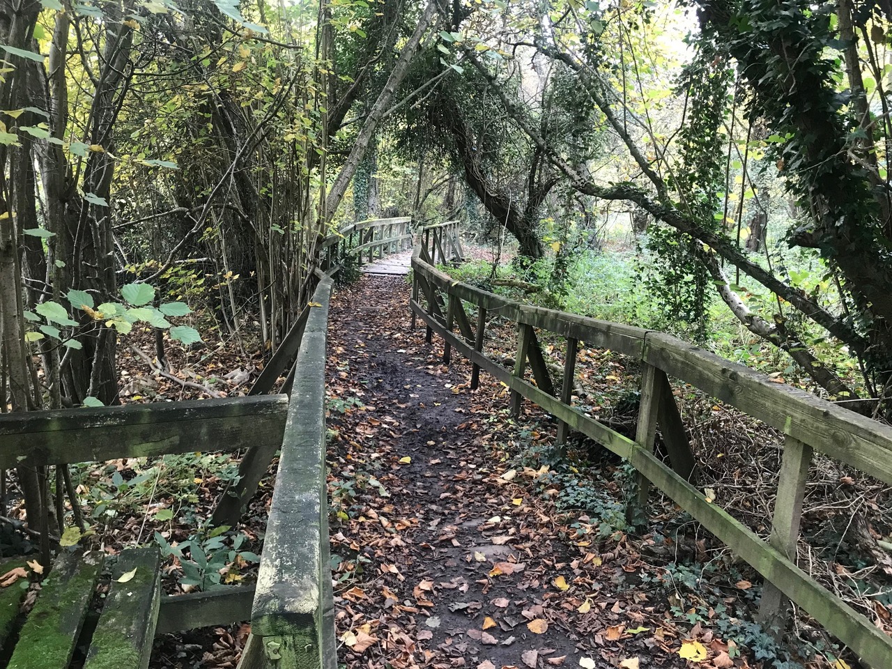 Fwd: Troway			
					</div><!-- .entry-content -->
		
		<footer>
		
		
		
					
					</footer><!-- .entry-meta -->
	</article><!-- #post -->
				
											
				
		
<hr class=