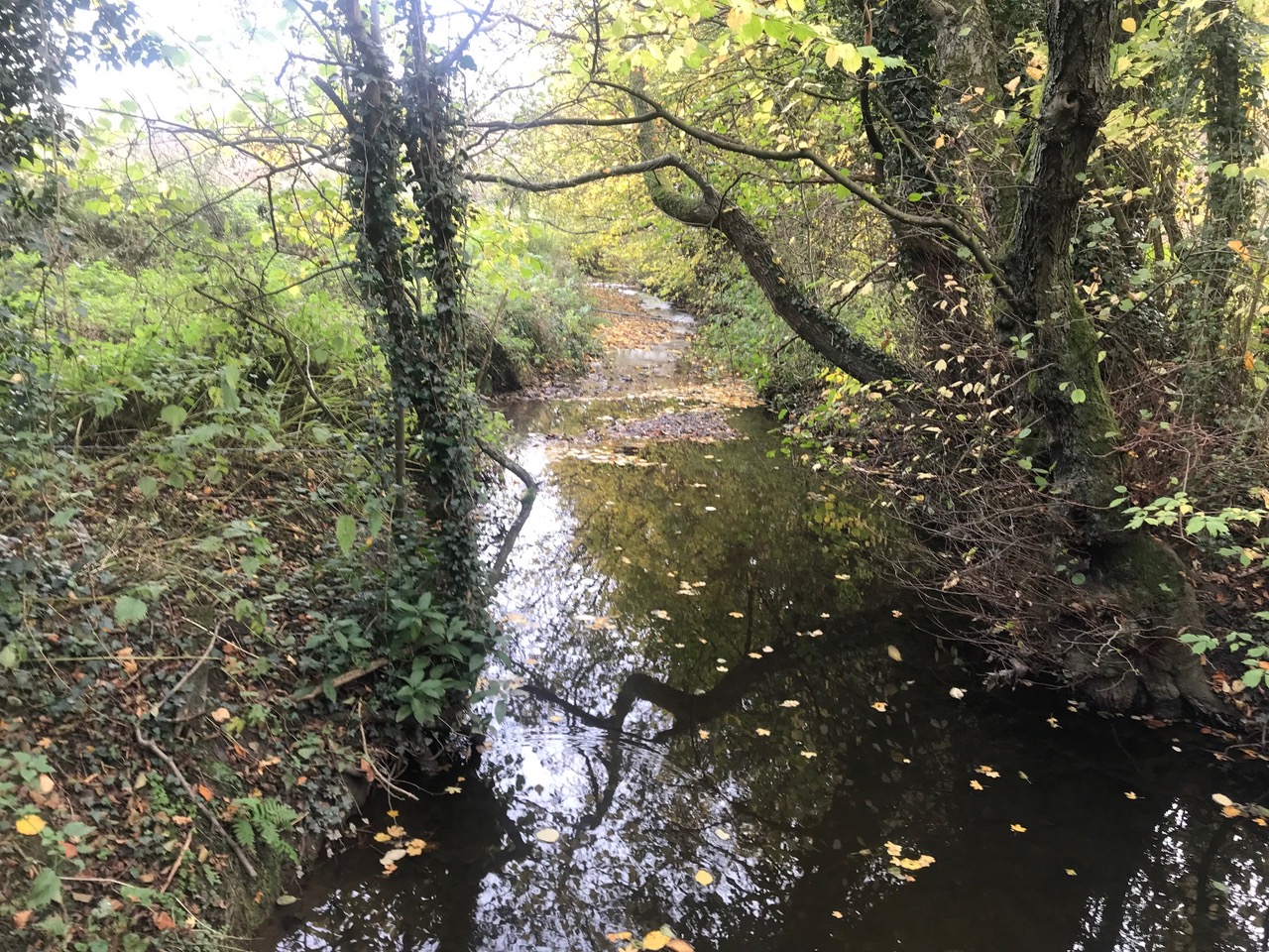 Fwd: Troway			
					</div><!-- .entry-content -->
		
		<footer>
		
		
		
					
					</footer><!-- .entry-meta -->
	</article><!-- #post -->
				
											
				
		
<hr class=