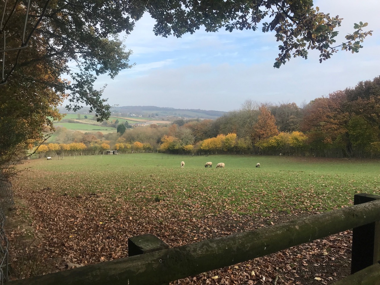 Fwd: Ridgeway from Troway			
					</div><!-- .entry-content -->
		
		<footer>
		
		
		
					
					</footer><!-- .entry-meta -->
	</article><!-- #post -->
				
											
				
		
<hr class=