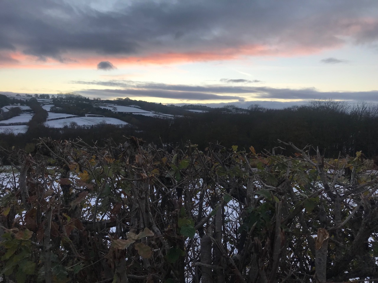 Fwd: Moss Valley			
					</div><!-- .entry-content -->
		
		<footer>
		
		
		
					
					</footer><!-- .entry-meta -->
	</article><!-- #post -->
				
											
				
		
<hr class=