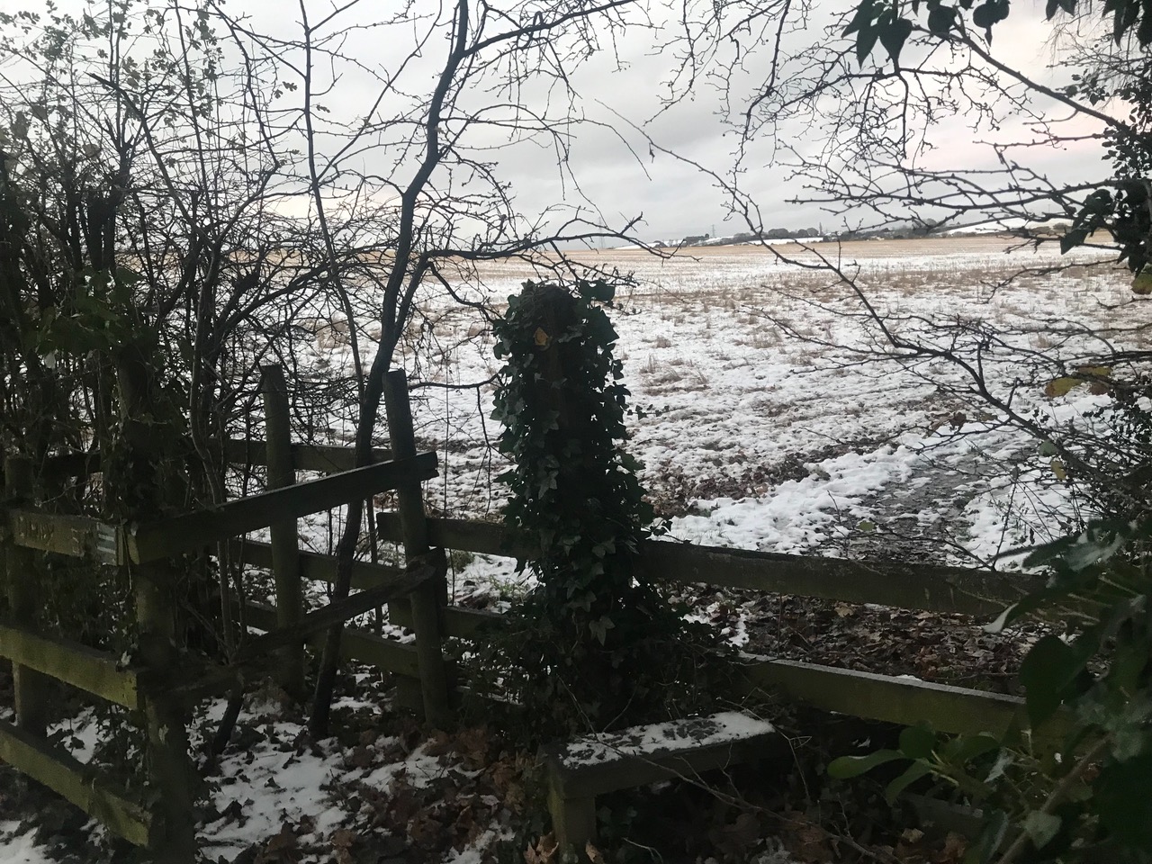 Fwd: Moss Valley			
					</div><!-- .entry-content -->
		
		<footer>
		
		
		
					
					</footer><!-- .entry-meta -->
	</article><!-- #post -->
				
											
				
		
<hr class=