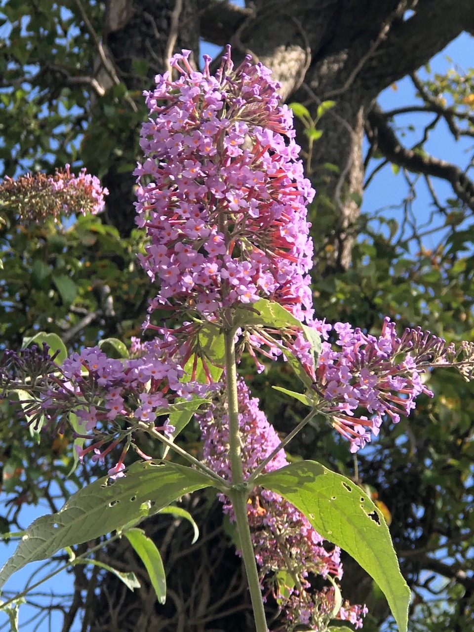 Fwd: Candy Lin			
					</div><!-- .entry-content -->
		
		<footer>
		
		
		
					
					</footer><!-- .entry-meta -->
	</article><!-- #post -->
				
											
				
		
<hr class=