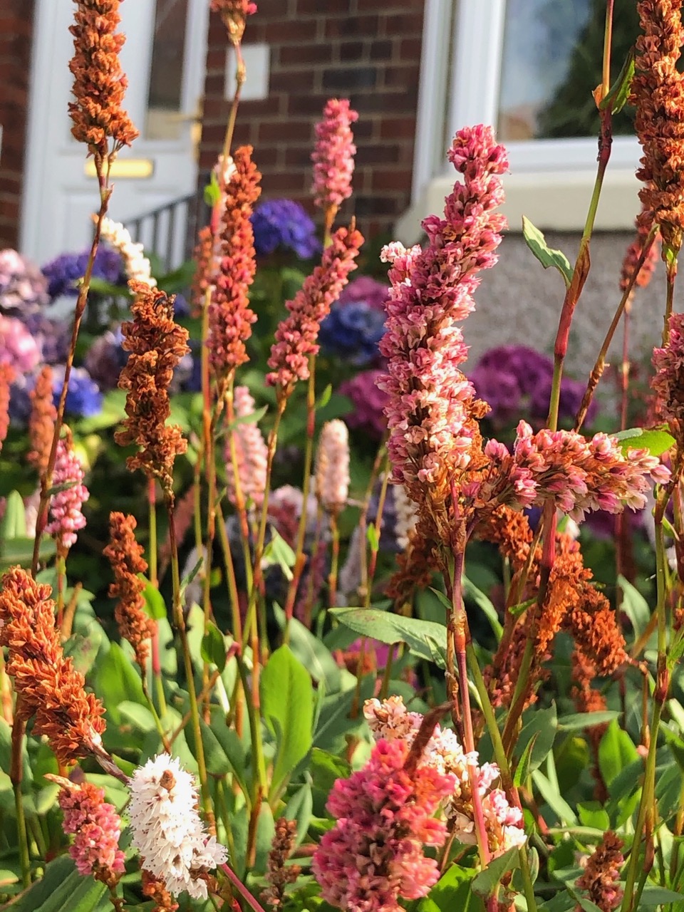 Fwd: Candy Lin			
					</div><!-- .entry-content -->
		
		<footer>
		
		
		
					
					</footer><!-- .entry-meta -->
	</article><!-- #post -->
				
											
				
		
<hr class=