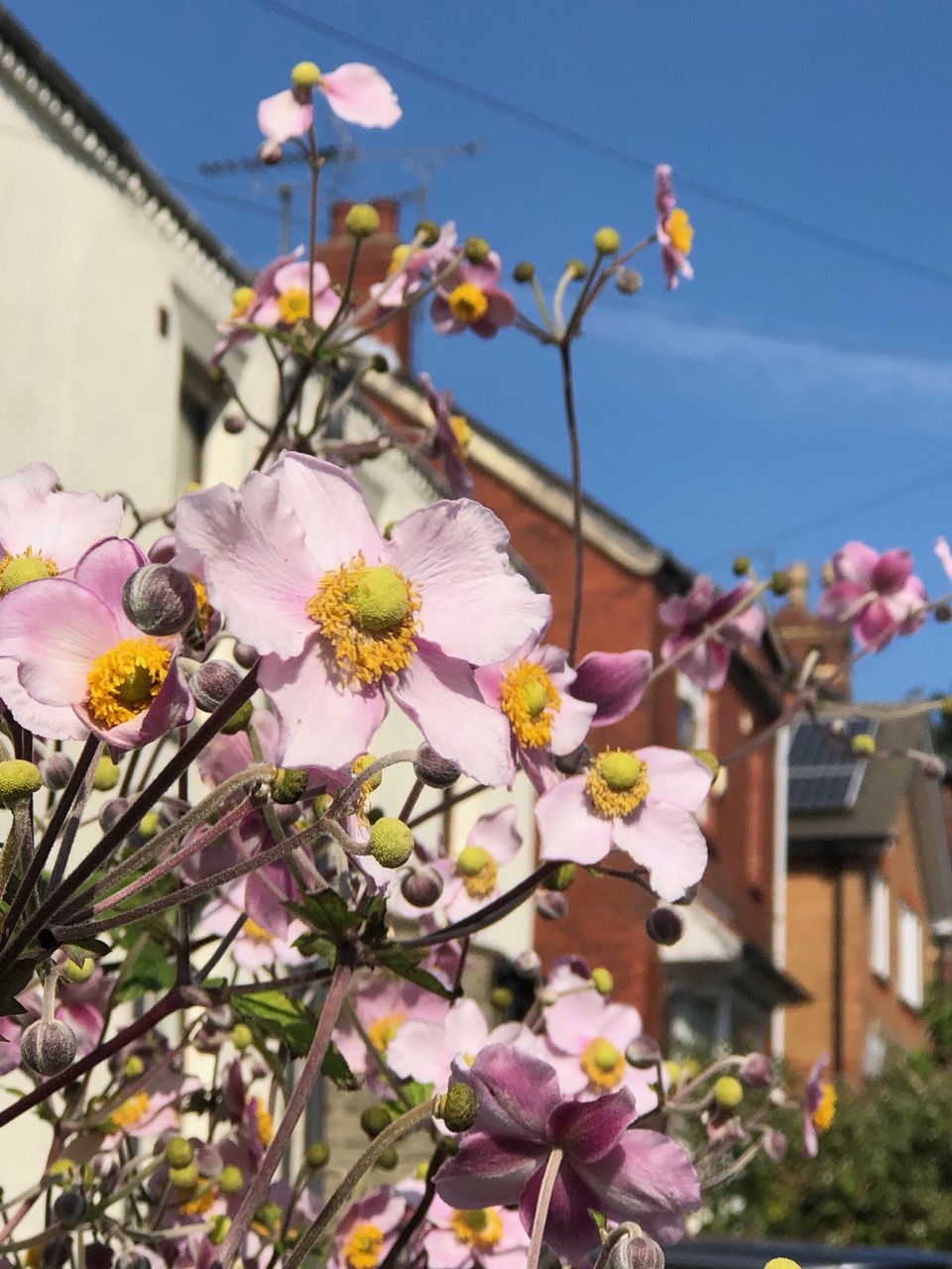 Fwd: Candy Lin			
					</div><!-- .entry-content -->
		
		<footer>
		
		
		
					
					</footer><!-- .entry-meta -->
	</article><!-- #post -->
				
											
				
		
<hr class=