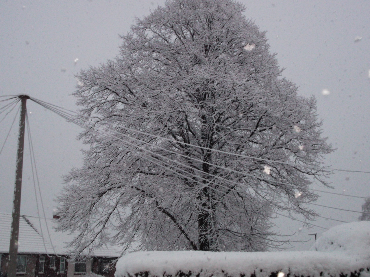 Fwd: My two favourite trees from Sue Rodgers			
					</div><!-- .entry-content -->
		
		<footer>
		
		
		
					
					</footer><!-- .entry-meta -->
	</article><!-- #post -->
				
											
				
		
<hr class=