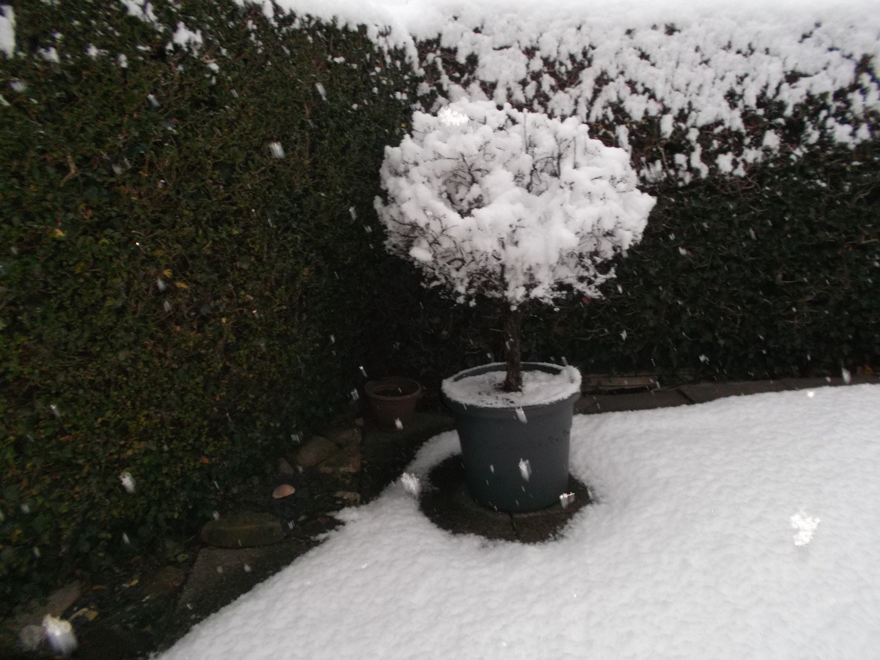 Fwd: My two favourite trees from Sue Rodgers			
					</div><!-- .entry-content -->
		
		<footer>
		
		
		
					
					</footer><!-- .entry-meta -->
	</article><!-- #post -->
				
											
				
		
<hr class=