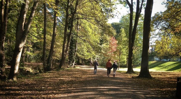 Fwd: Endliffe park by shona			
					</div><!-- .entry-content -->
		
		<footer>
		
		
		
					
					</footer><!-- .entry-meta -->
	</article><!-- #post -->
				
											
				
		
<hr class=