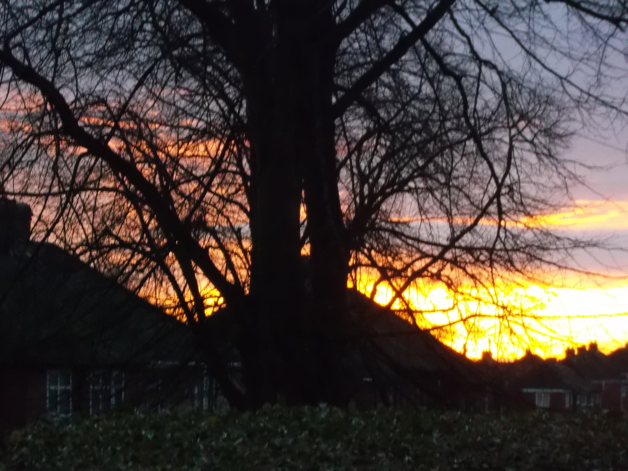 Fwd: Sunrise over Frecheville 18.11.21			
					</div><!-- .entry-content -->
		
		<footer>
		
		
		
					
					</footer><!-- .entry-meta -->
	</article><!-- #post -->
				
											
				
		
<hr class=