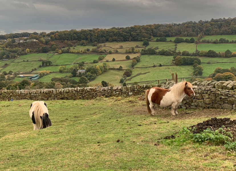 Fwd: J-mee  Loxley valley			
					</div><!-- .entry-content -->
		
		<footer>
		
		
		
					
					</footer><!-- .entry-meta -->
	</article><!-- #post -->
				
											
				
		
<hr class=