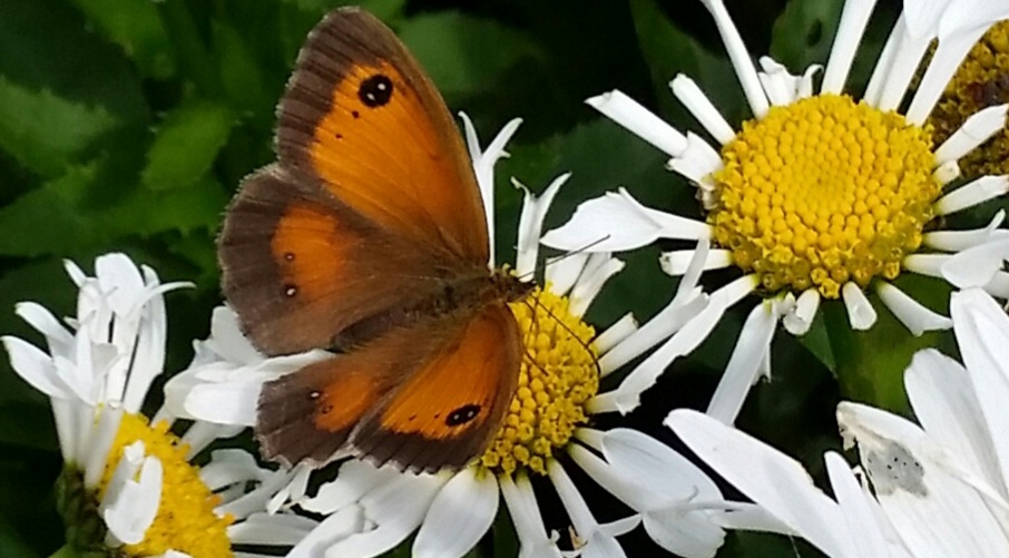 Fwd: Photograph by K Johnson			
					</div><!-- .entry-content -->
		
		<footer>
		
		
		
					
					</footer><!-- .entry-meta -->
	</article><!-- #post -->
				
											
				
		
<hr class=