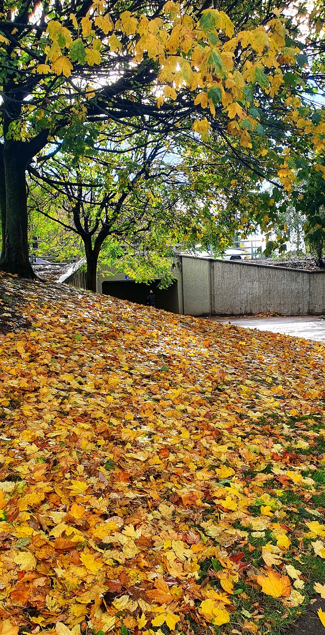 Fwd: Photos from Sheffield- Renjith Roy			
					</div><!-- .entry-content -->
		
		<footer>
		
		
		
					
					</footer><!-- .entry-meta -->
	</article><!-- #post -->
				
											
				
		
<hr class=