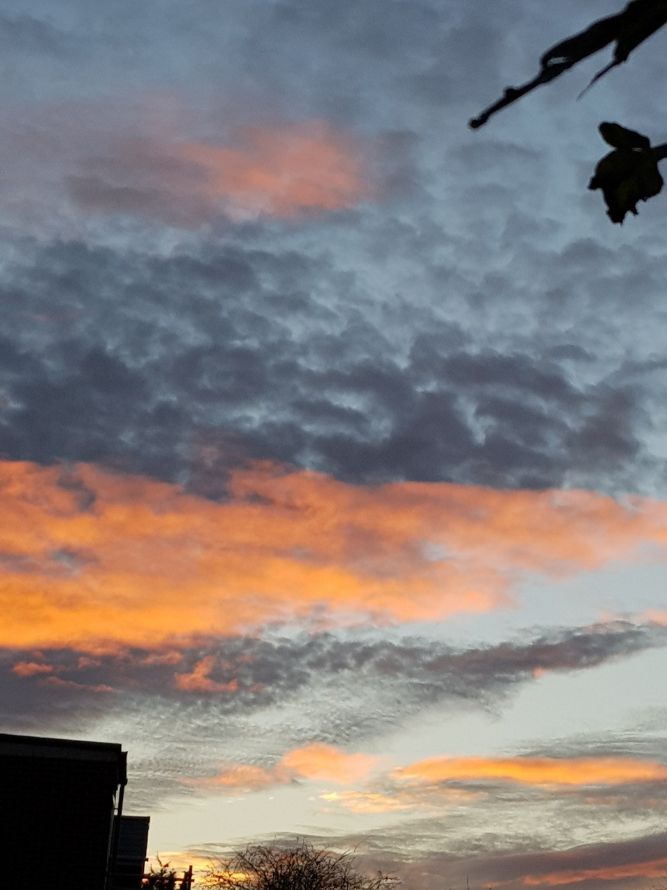 Fwd:			
					</div><!-- .entry-content -->
		
		<footer>
		
		
		
					
					</footer><!-- .entry-meta -->
	</article><!-- #post -->
				
											
				
		
<hr class=