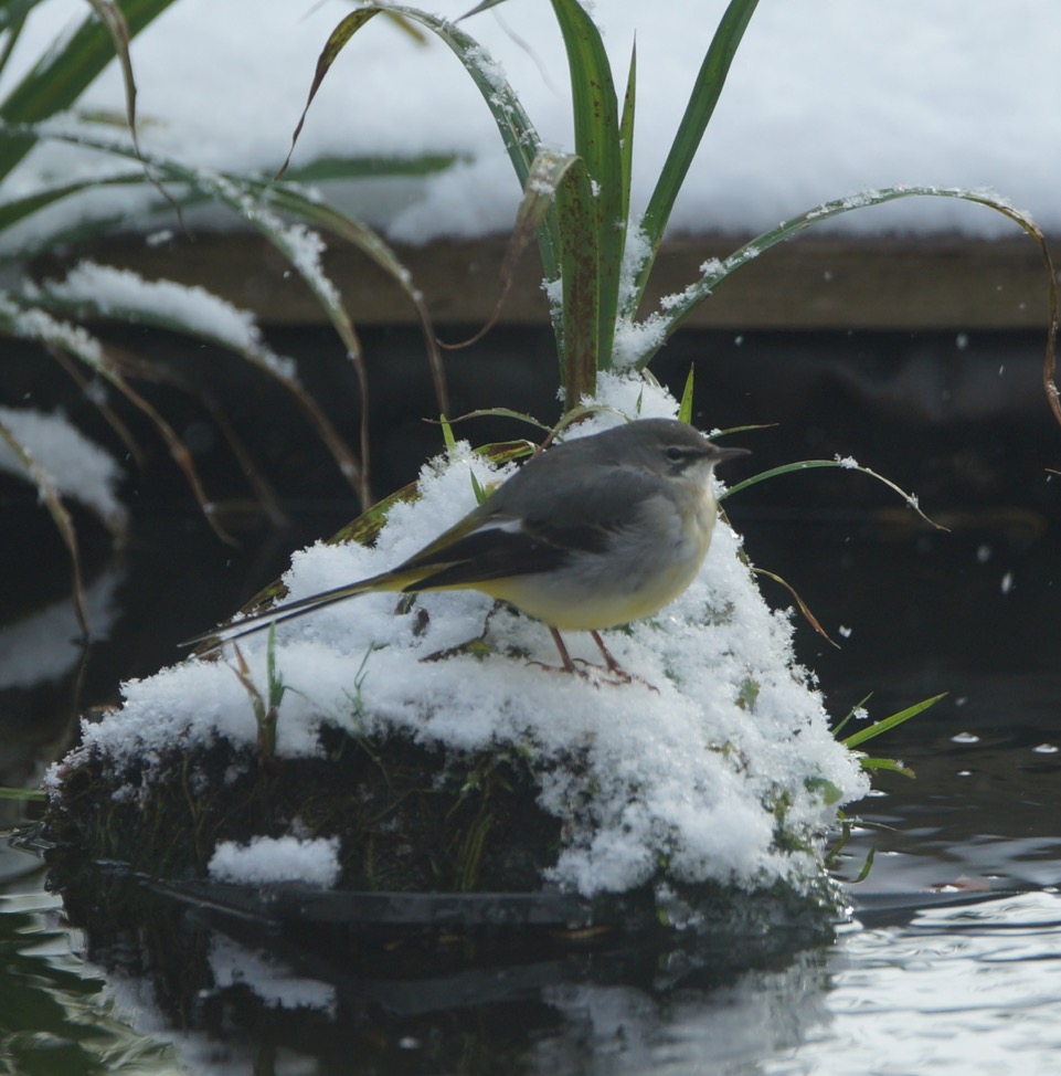 Fwd: [SPAM] Photo			
					</div><!-- .entry-content -->
		
		<footer>
		
		
		
					
					</footer><!-- .entry-meta -->
	</article><!-- #post -->
				
											
				
		
<hr class=