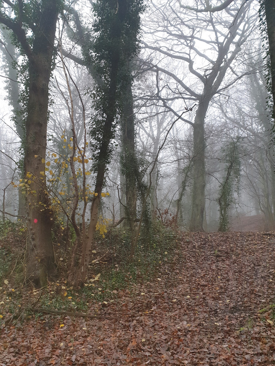 Fwd: Kady Snape			
					</div><!-- .entry-content -->
		
		<footer>
		
		
		
					
					</footer><!-- .entry-meta -->
	</article><!-- #post -->
				
											
				
		
<hr class=