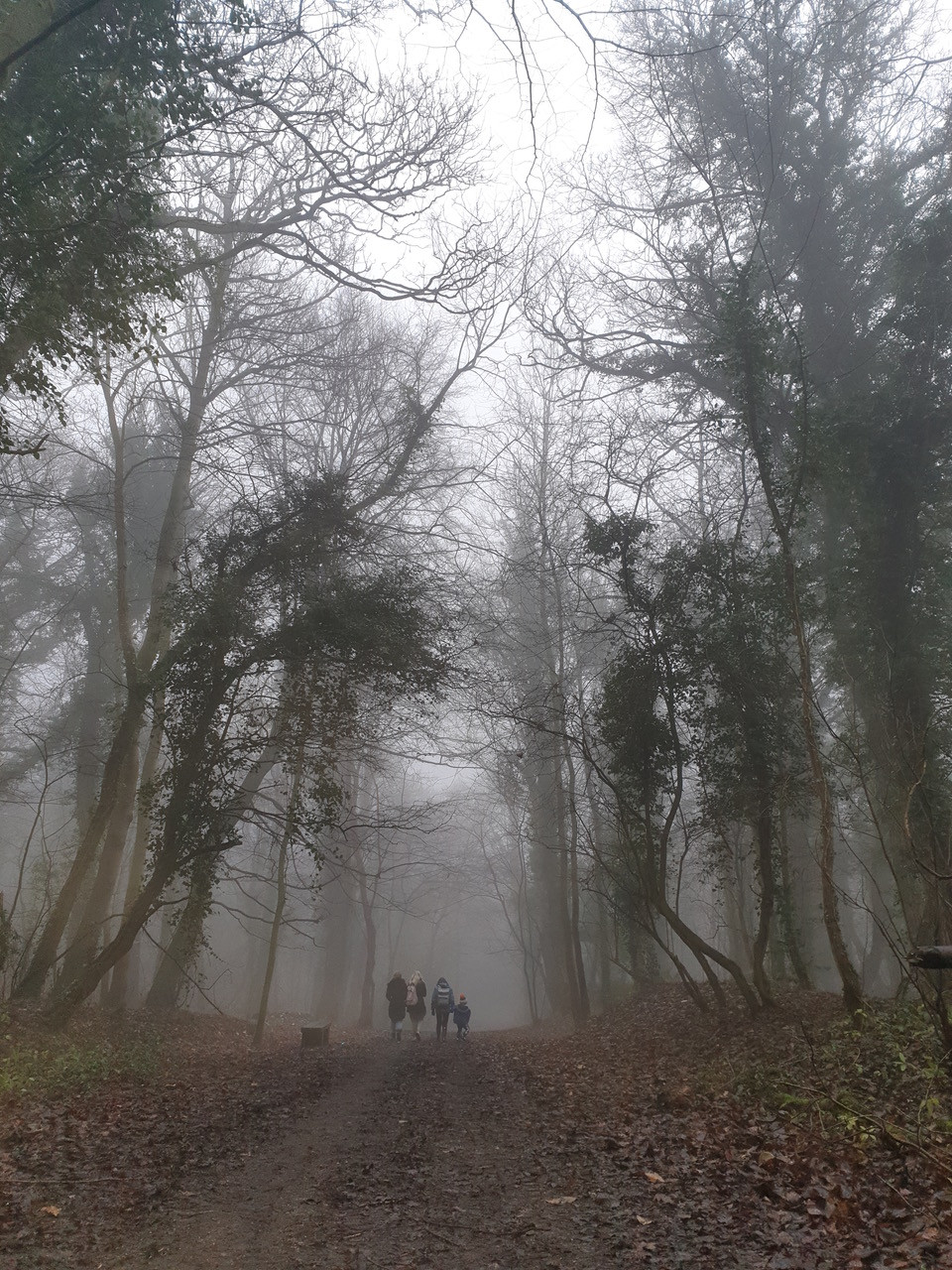 Fwd: Kady Snape			
					</div><!-- .entry-content -->
		
		<footer>
		
		
		
					
					</footer><!-- .entry-meta -->
	</article><!-- #post -->
				
											
				
		
<hr class=