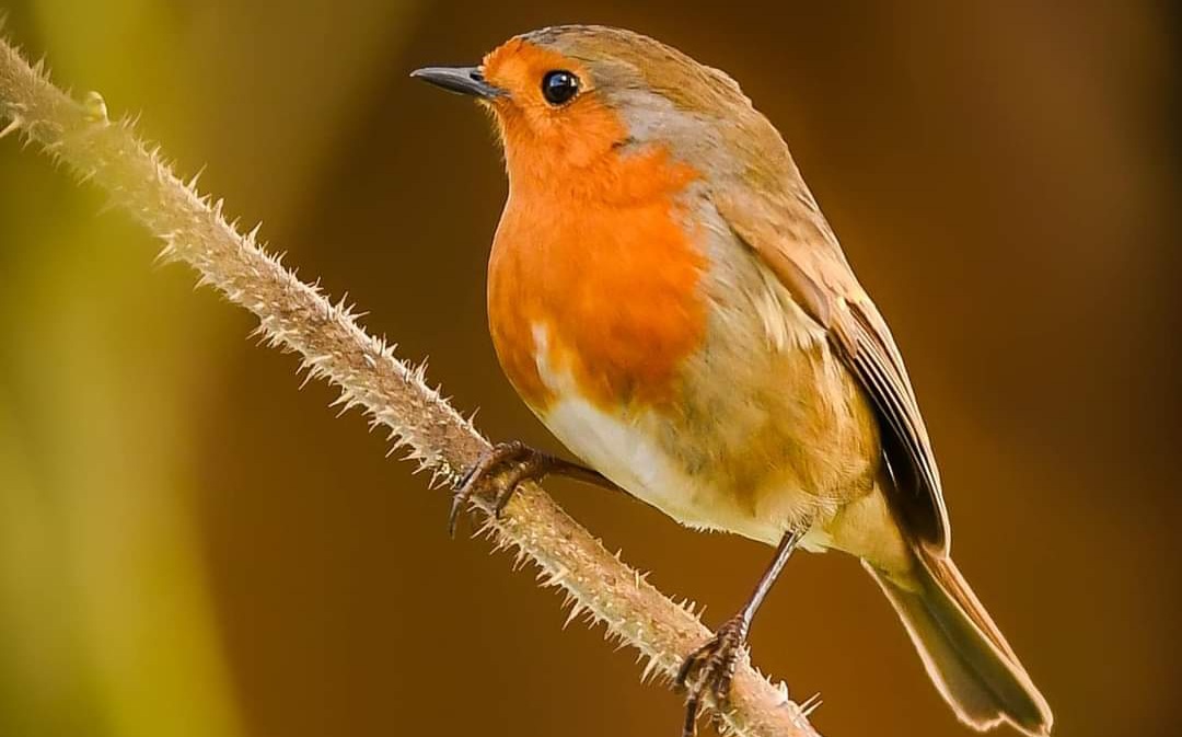 Fwd: Photograph by K Johnson			
					</div><!-- .entry-content -->
		
		<footer>
		
		
		
					
					</footer><!-- .entry-meta -->
	</article><!-- #post -->
				
											
				
		
<hr class=