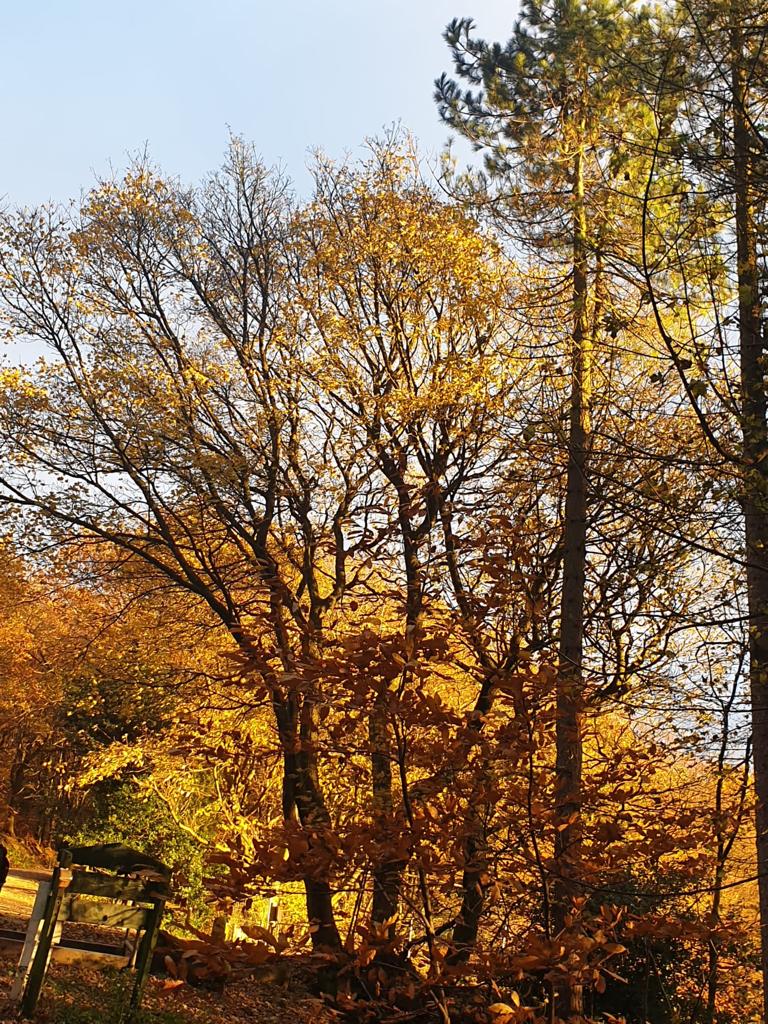 Fwd: Kady Snape			
					</div><!-- .entry-content -->
		
		<footer>
		
		
		
					
					</footer><!-- .entry-meta -->
	</article><!-- #post -->
				
											
				
		
<hr class=