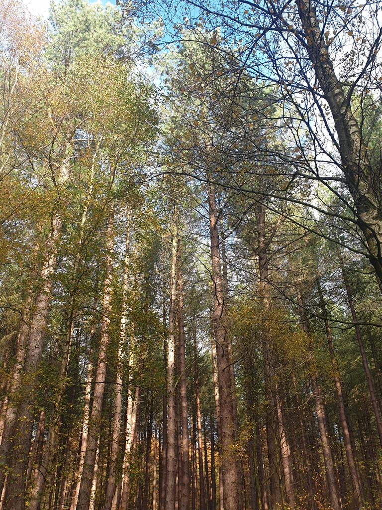 Fwd: Kady Snape			
					</div><!-- .entry-content -->
		
		<footer>
		
		
		
					
					</footer><!-- .entry-meta -->
	</article><!-- #post -->
				
											
				
		
<hr class=