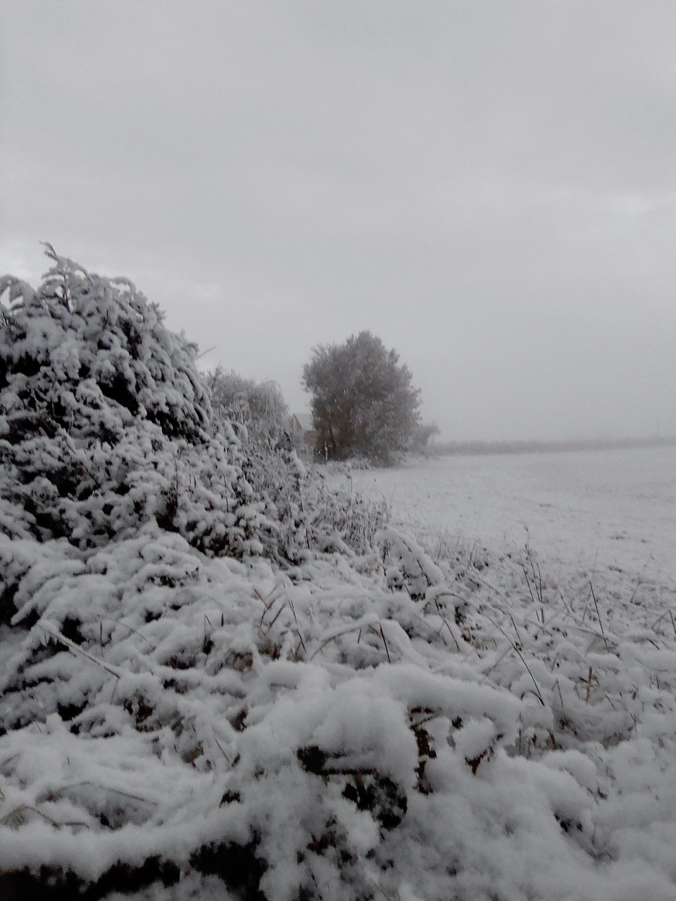 Fwd: Thurcroft freeze.			
					</div><!-- .entry-content -->
		
		<footer>
		
		
		
					
					</footer><!-- .entry-meta -->
	</article><!-- #post -->
				
											
				
		
<hr class=