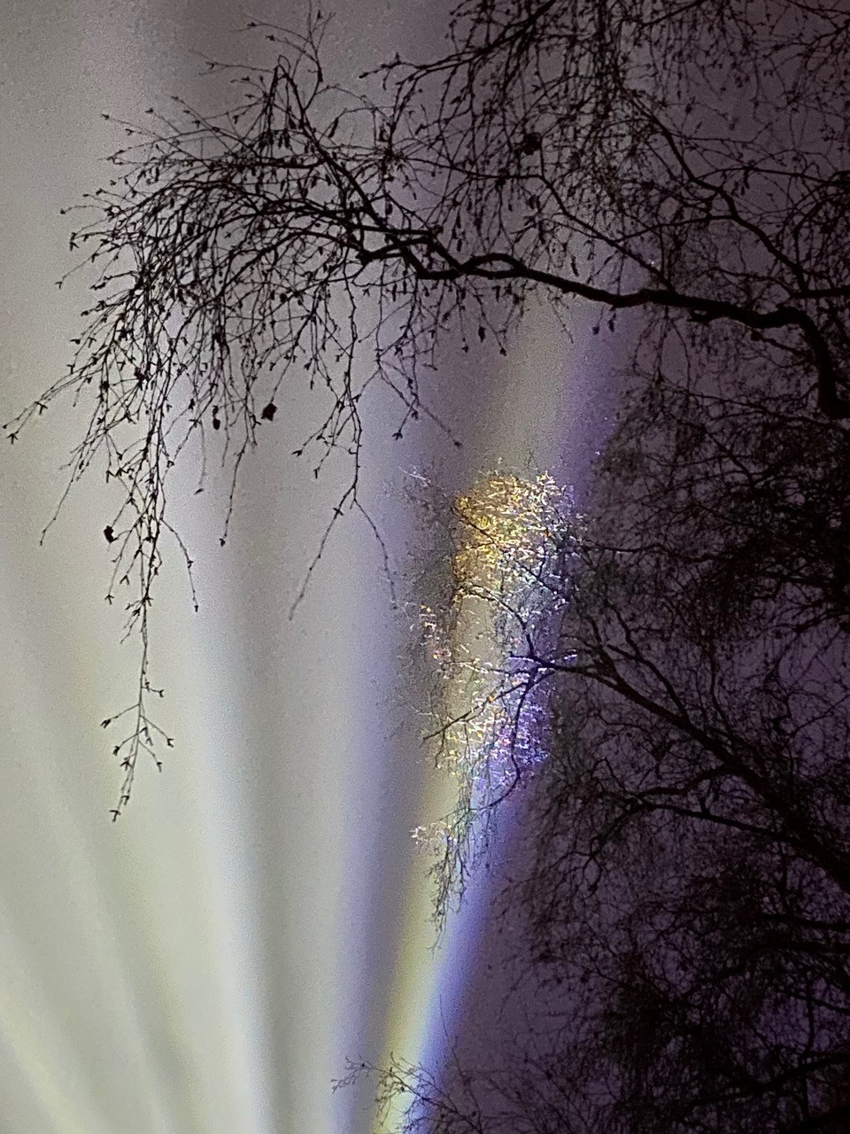 Fwd: Evening splendour by Val Unwin			
					</div><!-- .entry-content -->
		
		<footer>
		
		
		
					
					</footer><!-- .entry-meta -->
	</article><!-- #post -->
				
											
				
		
<hr class=