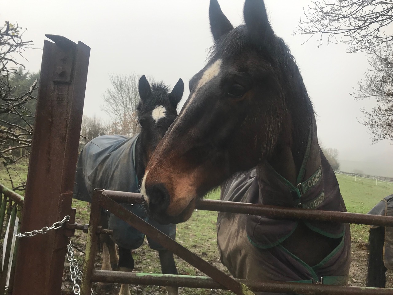 Fwd: Troway			
					</div><!-- .entry-content -->
		
		<footer>
		
		
		
					
					</footer><!-- .entry-meta -->
	</article><!-- #post -->
				
											
				
		
<hr class=