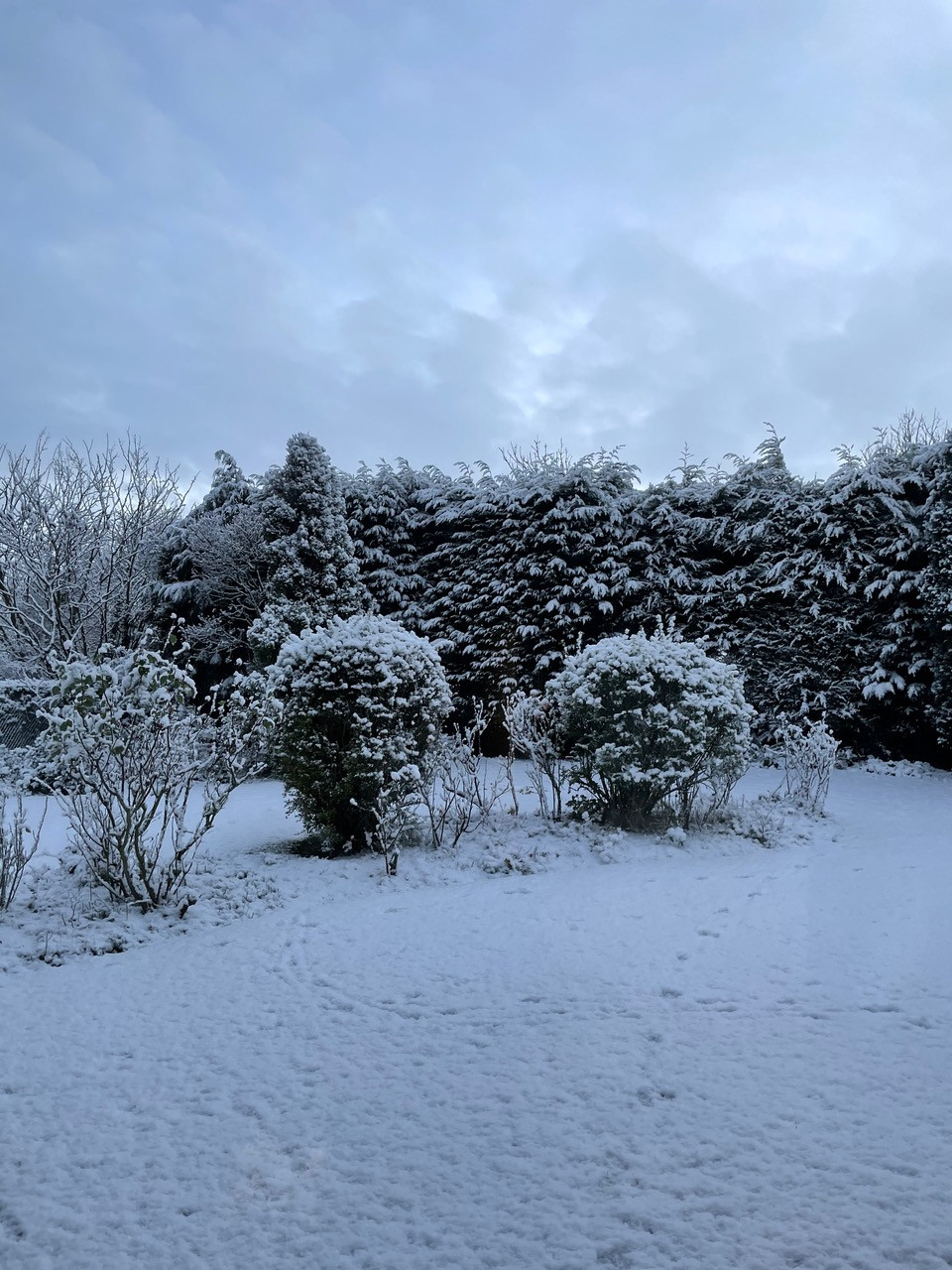 Fwd: Sheffield Live Photo&rsquo;s			
					</div><!-- .entry-content -->
		
		<footer>
		
		
		
					
					</footer><!-- .entry-meta -->
	</article><!-- #post -->
				
											
				
		
<hr class=