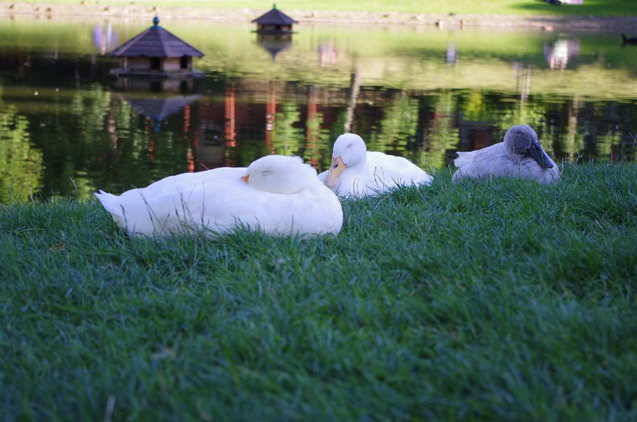 Fwd: Photo of Weston Park, Sheffield			
					</div><!-- .entry-content -->
		
		<footer>
		
		
		
					
					</footer><!-- .entry-meta -->
	</article><!-- #post -->
				
											
				
		
<hr class=