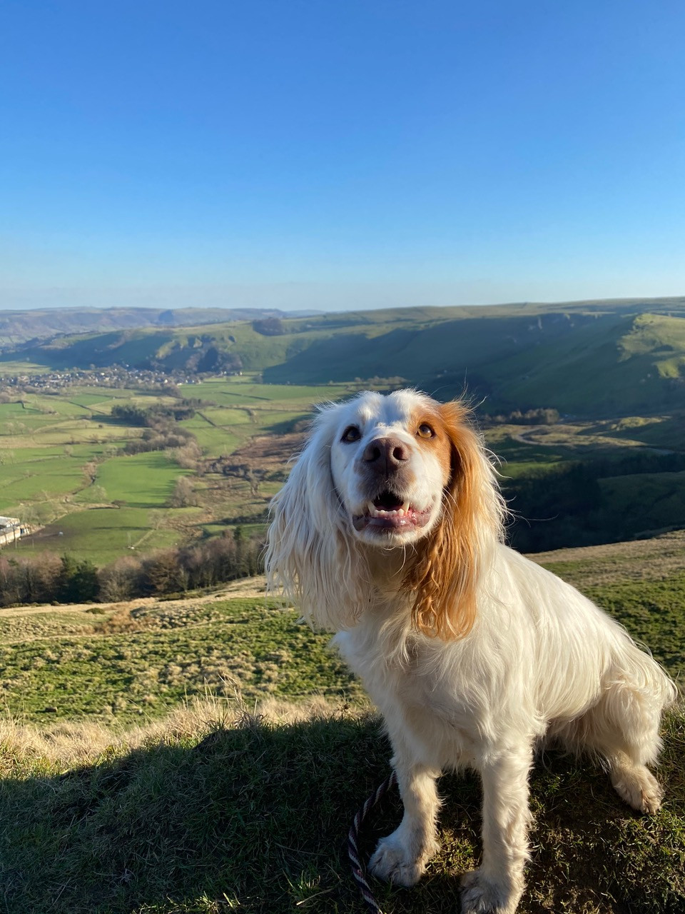 Fwd:			
					</div><!-- .entry-content -->
		
		<footer>
		
		
		
					
					</footer><!-- .entry-meta -->
	</article><!-- #post -->
				
											
				
		
<hr class=