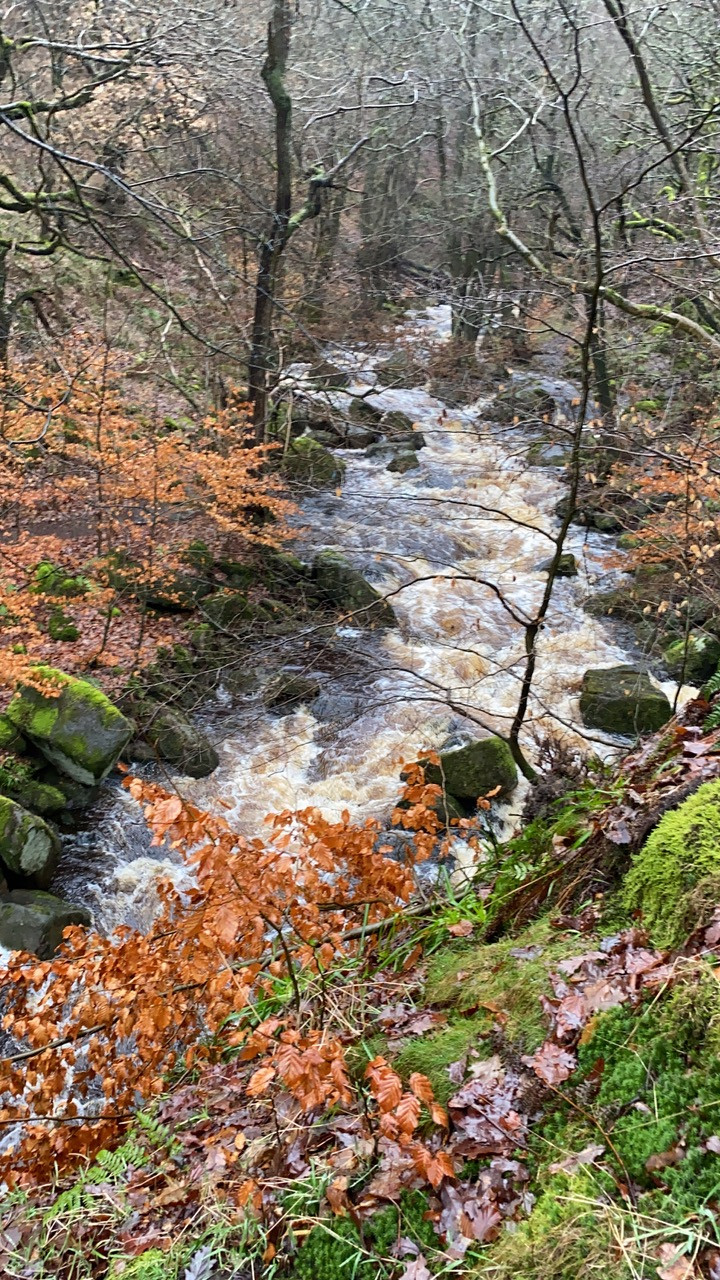 Fwd:			
					</div><!-- .entry-content -->
		
		<footer>
		
		
		
					
					</footer><!-- .entry-meta -->
	</article><!-- #post -->
				
											
				
		
<hr class=