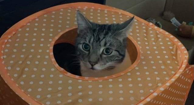 Fwd: Photograph by K Johnson			
					</div><!-- .entry-content -->
		
		<footer>
		
		
		
					
					</footer><!-- .entry-meta -->
	</article><!-- #post -->
				
											
				
		
<hr class=