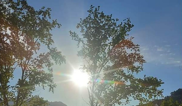 Fwd: Photograph by K Johnson			
					</div><!-- .entry-content -->
		
		<footer>
		
		
		
					
					</footer><!-- .entry-meta -->
	</article><!-- #post -->
				
											
				
		
<hr class=