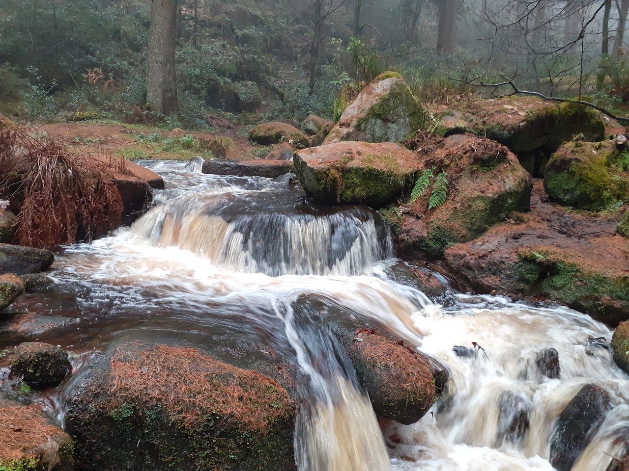 Fwd: Wyming Brook by Gullface London			
					</div><!-- .entry-content -->
		
		<footer>
		
		
		
					
					</footer><!-- .entry-meta -->
	</article><!-- #post -->
				
											
				
		
<hr class=