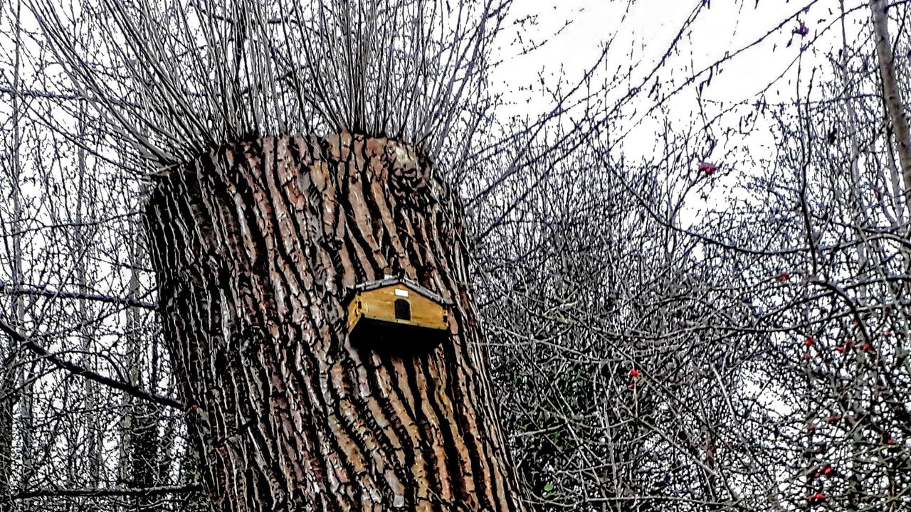 Fwd: Photograph by James Marples, Handsworth			
					</div><!-- .entry-content -->
		
		<footer>
		
		
		
					
					</footer><!-- .entry-meta -->
	</article><!-- #post -->
				
											
				
		
<hr class=