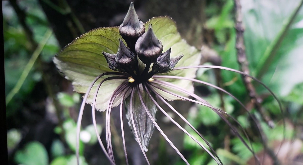 Fwd: Photograph by K Johnson			
					</div><!-- .entry-content -->
		
		<footer>
		
		
		
					
					</footer><!-- .entry-meta -->
	</article><!-- #post -->
				
											
				
		
<hr class=