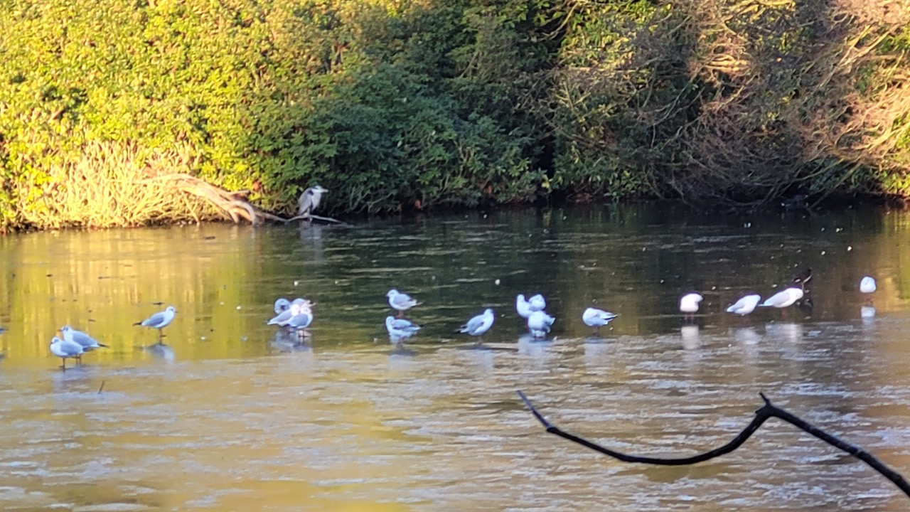 Fwd: Greg Howarth graves Park			
					</div><!-- .entry-content -->
		
		<footer>
		
		
		
					
					</footer><!-- .entry-meta -->
	</article><!-- #post -->
				
											
				
		
<hr class=