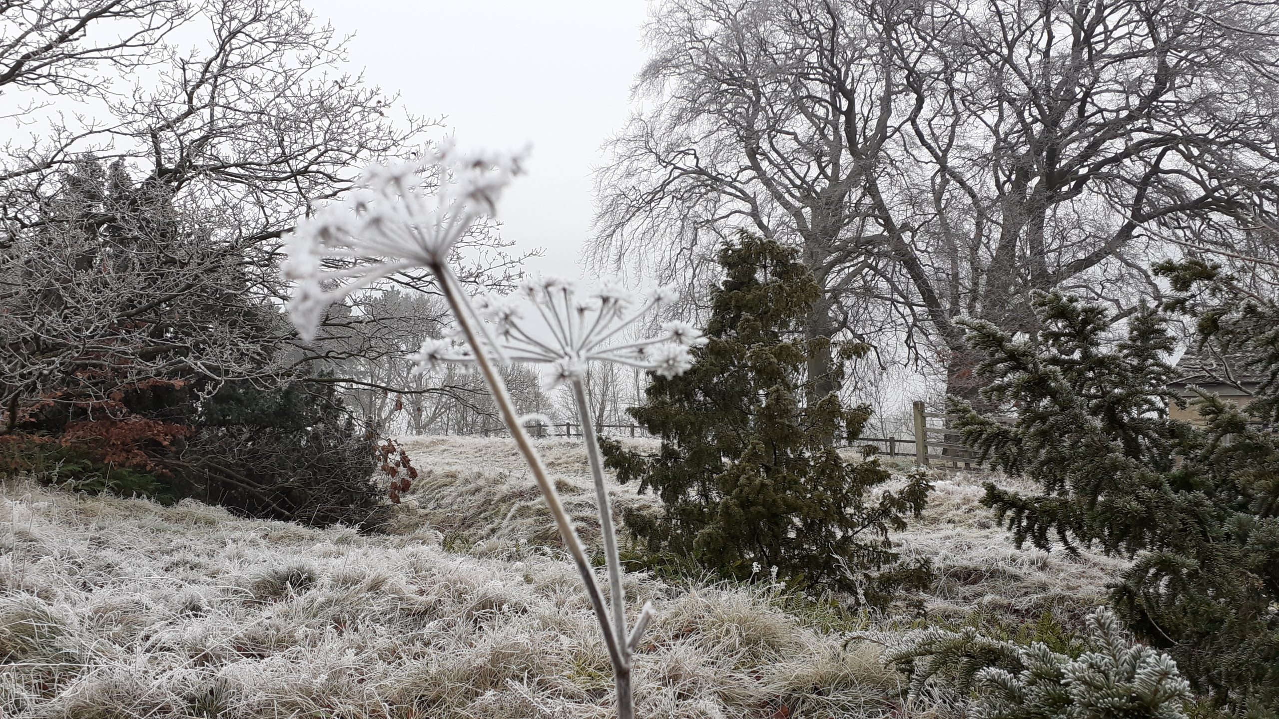 Fwd: High Tor by Gullface London			
					</div><!-- .entry-content -->
		
		<footer>
		
		
		
					
					</footer><!-- .entry-meta -->
	</article><!-- #post -->
				
											
				
		
<hr class=