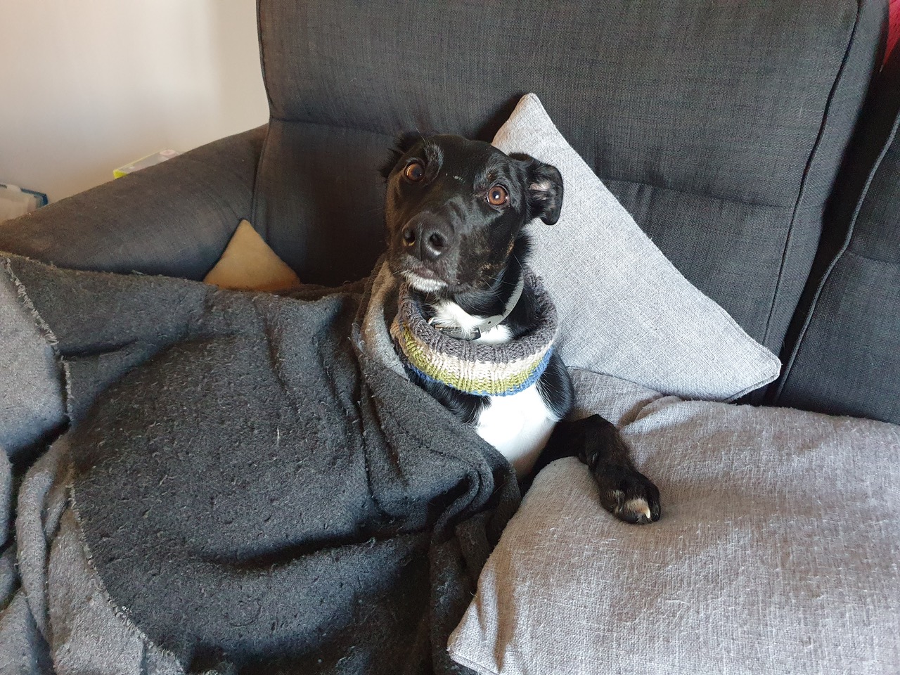 Fwd: Katie Marshall, Owlthorpe			
					</div><!-- .entry-content -->
		
		<footer>
		
		
		
					
					</footer><!-- .entry-meta -->
	</article><!-- #post -->
				
											
				
		
<hr class=