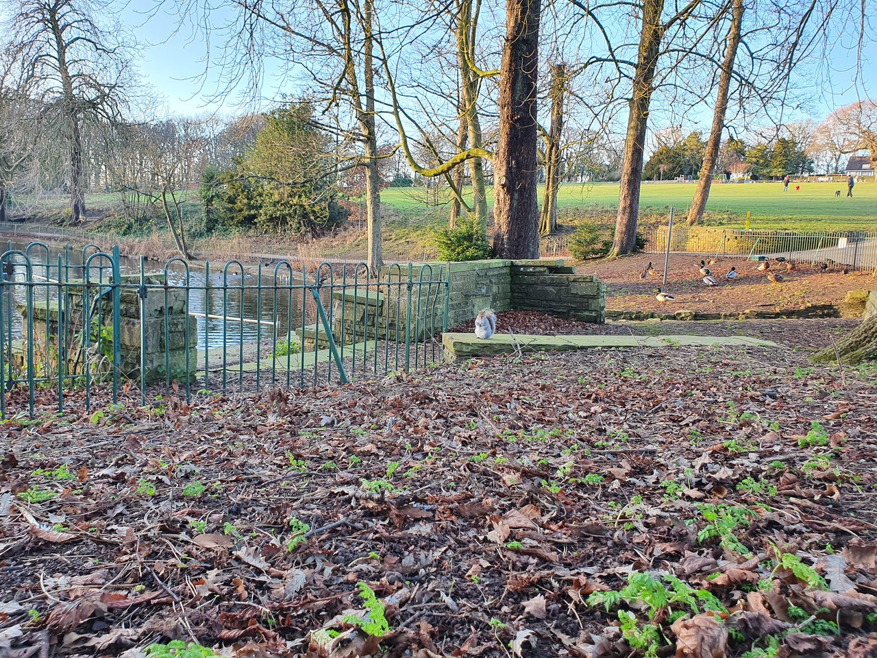 Fwd: Katie Marshall, Graves Park			
					</div><!-- .entry-content -->
		
		<footer>
		
		
		
					
					</footer><!-- .entry-meta -->
	</article><!-- #post -->
				
											
				
		
<hr class=