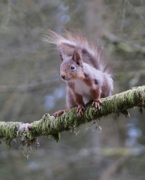 Fwd: [SPAM] Willy D.			
					</div><!-- .entry-content -->
		
		<footer>
		
		
		
					
					</footer><!-- .entry-meta -->
	</article><!-- #post -->
				
											
				
		
<hr class=