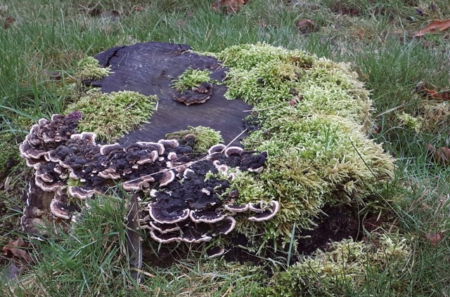 Fwd: [SPAM] Photo			
					</div><!-- .entry-content -->
		
		<footer>
		
		
		
					
					</footer><!-- .entry-meta -->
	</article><!-- #post -->
				
											
				
		
<hr class=