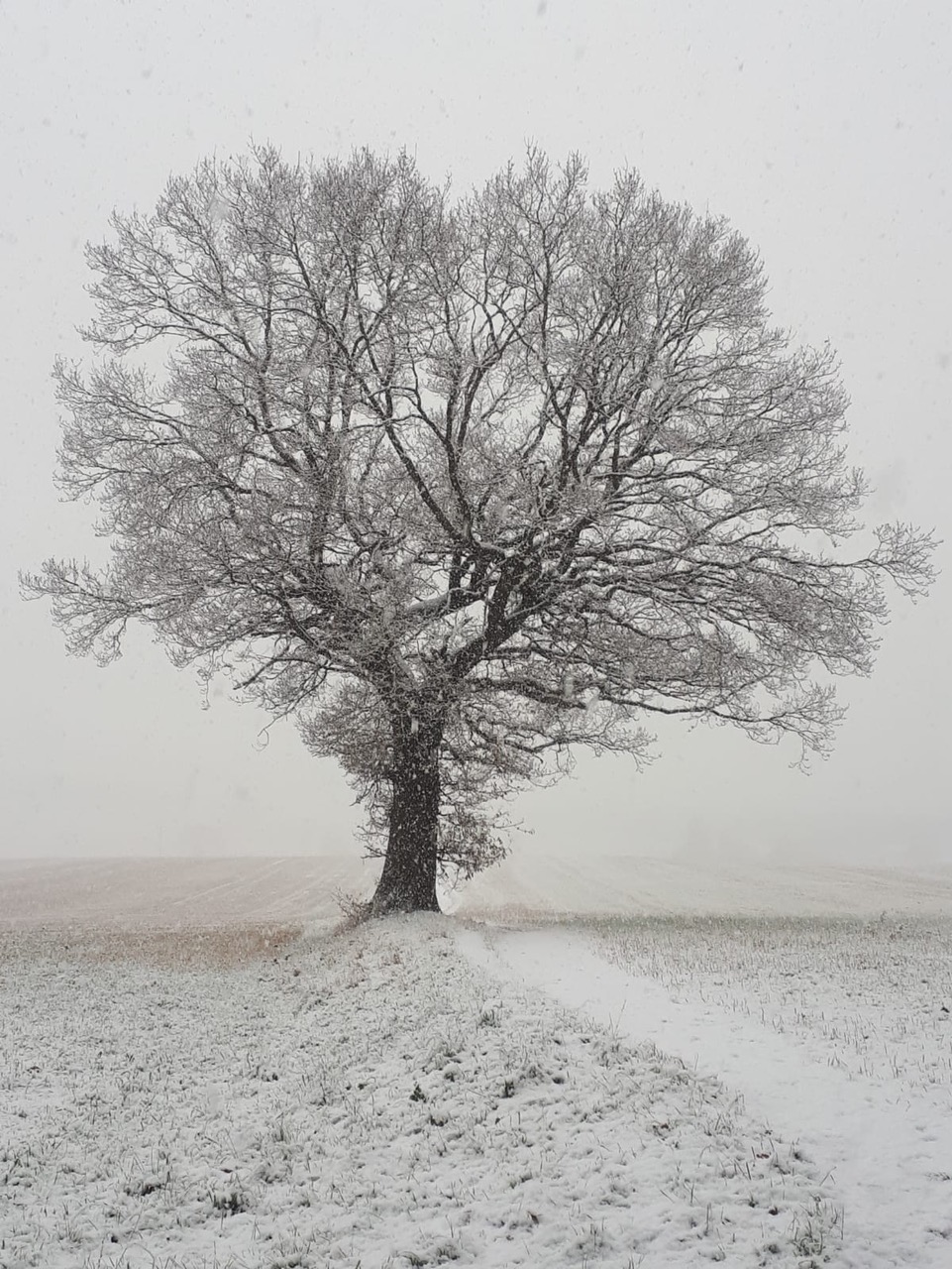 Fwd: whickersley woods			
					</div><!-- .entry-content -->
		
		<footer>
		
		
		
					
					</footer><!-- .entry-meta -->
	</article><!-- #post -->
				
											
				
		
<hr class=