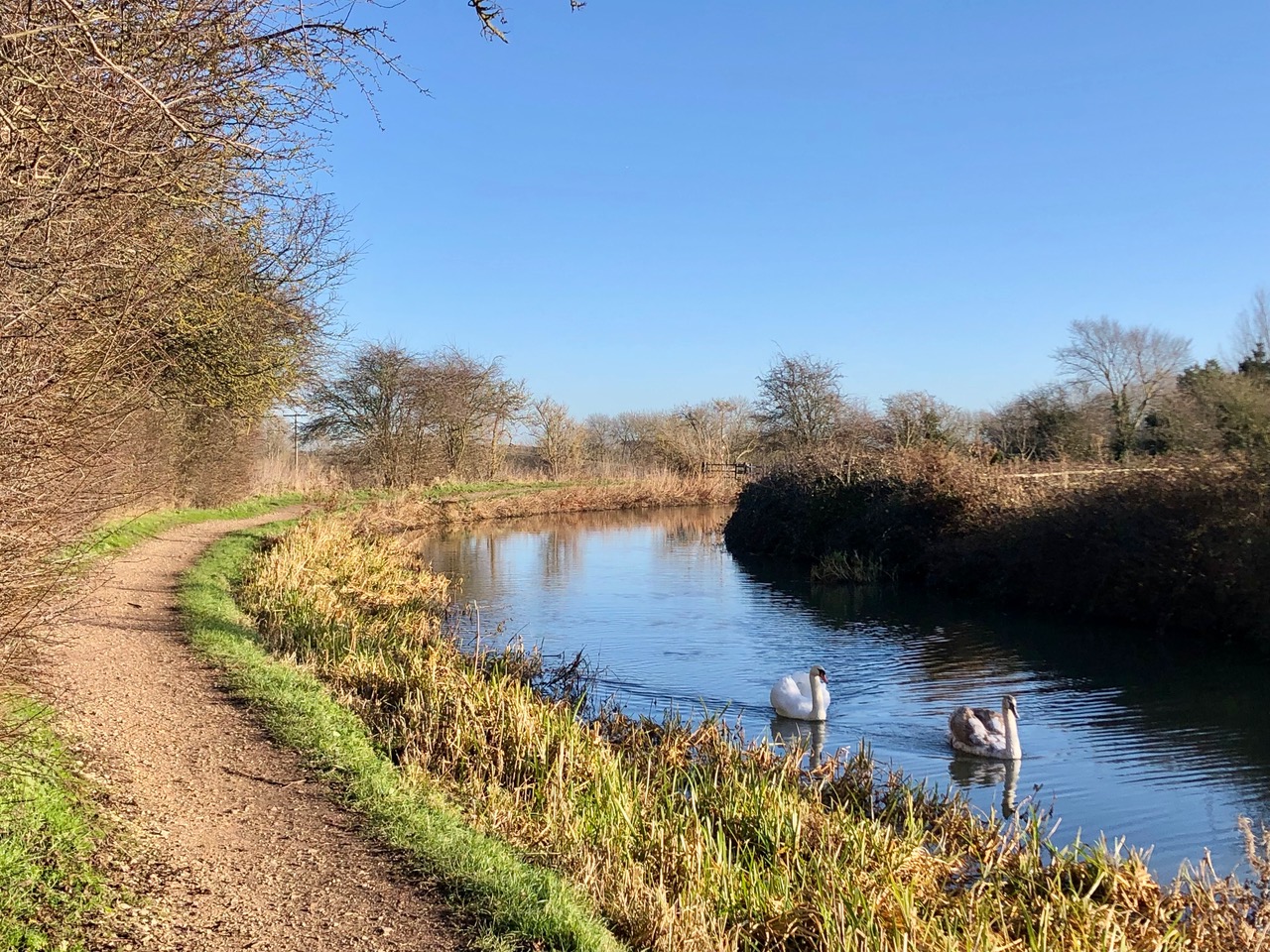 Fwd: Turnerwood Chesterfield Canal. Keith Bown			
					</div><!-- .entry-content -->
		
		<footer>
		
		
		
					
					</footer><!-- .entry-meta -->
	</article><!-- #post -->
				
											
				
		
<hr class=